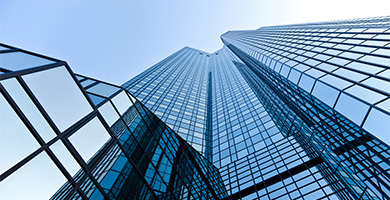 企業(yè)優(yōu)勢(shì) 企業(yè)優(yōu)勢(shì)